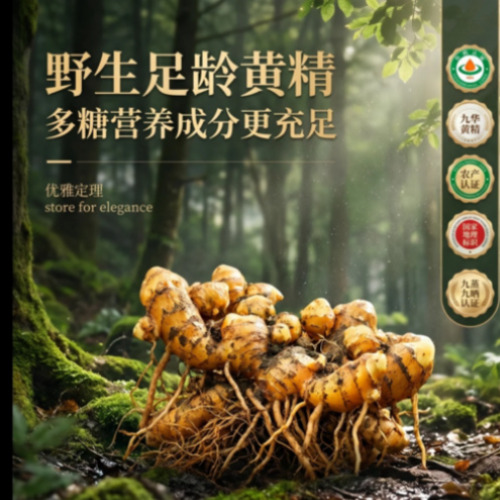 菁选灵创AIGC平台服务概览